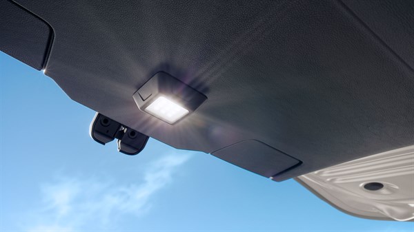 Dacia Sandero Stepway - YouClip® - lamp